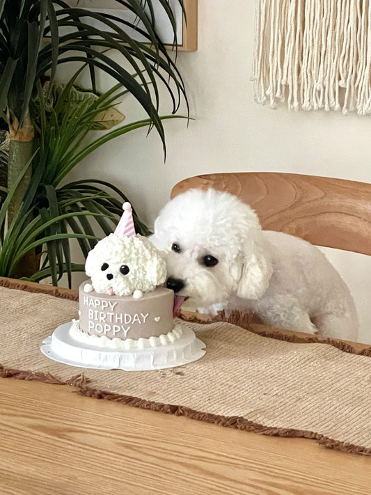 3D立體雙層蛋糕 | 3D cake (Two Tier)