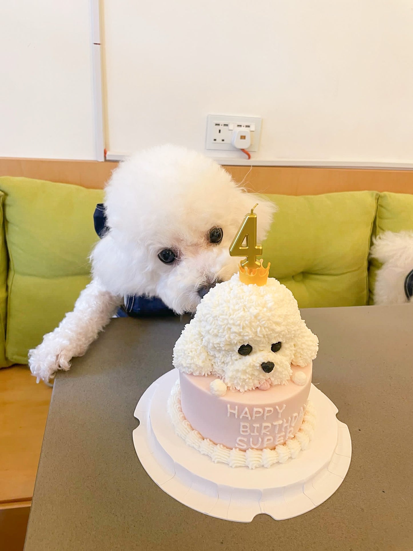 3D立體雙層蛋糕 | 3D cake (Two Tier)