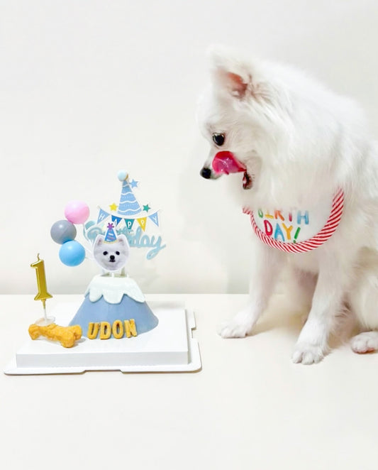 富士山蛋糕 | Mount Fuji