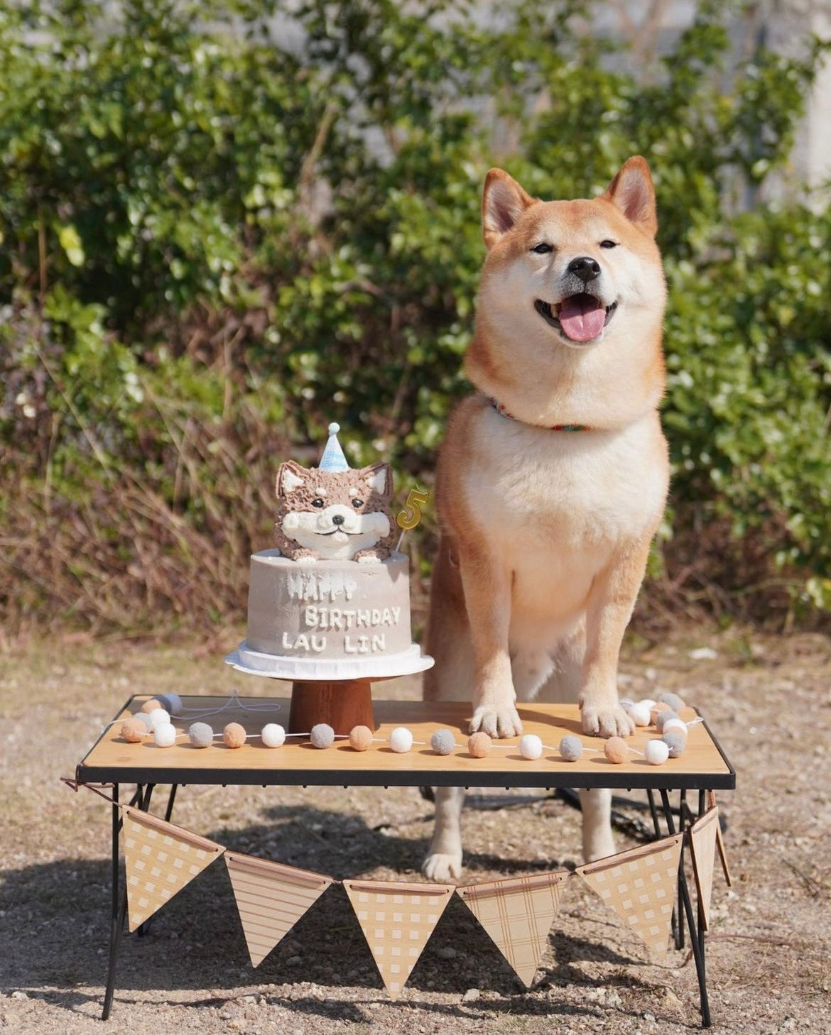 3D立體雙層蛋糕 | 3D cake (Two Tier)