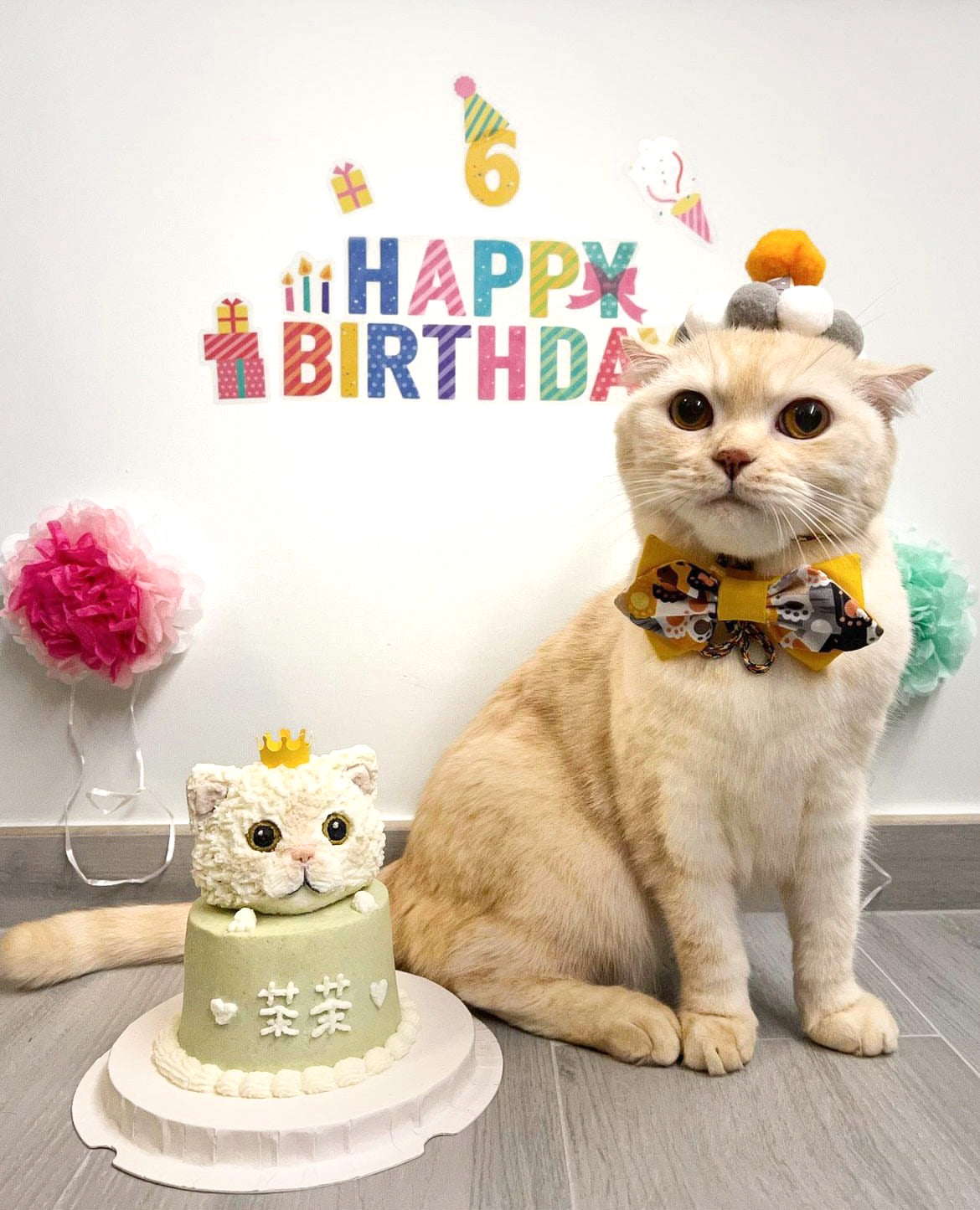 3D立體雙層蛋糕 | 3D cake (Two Tier)