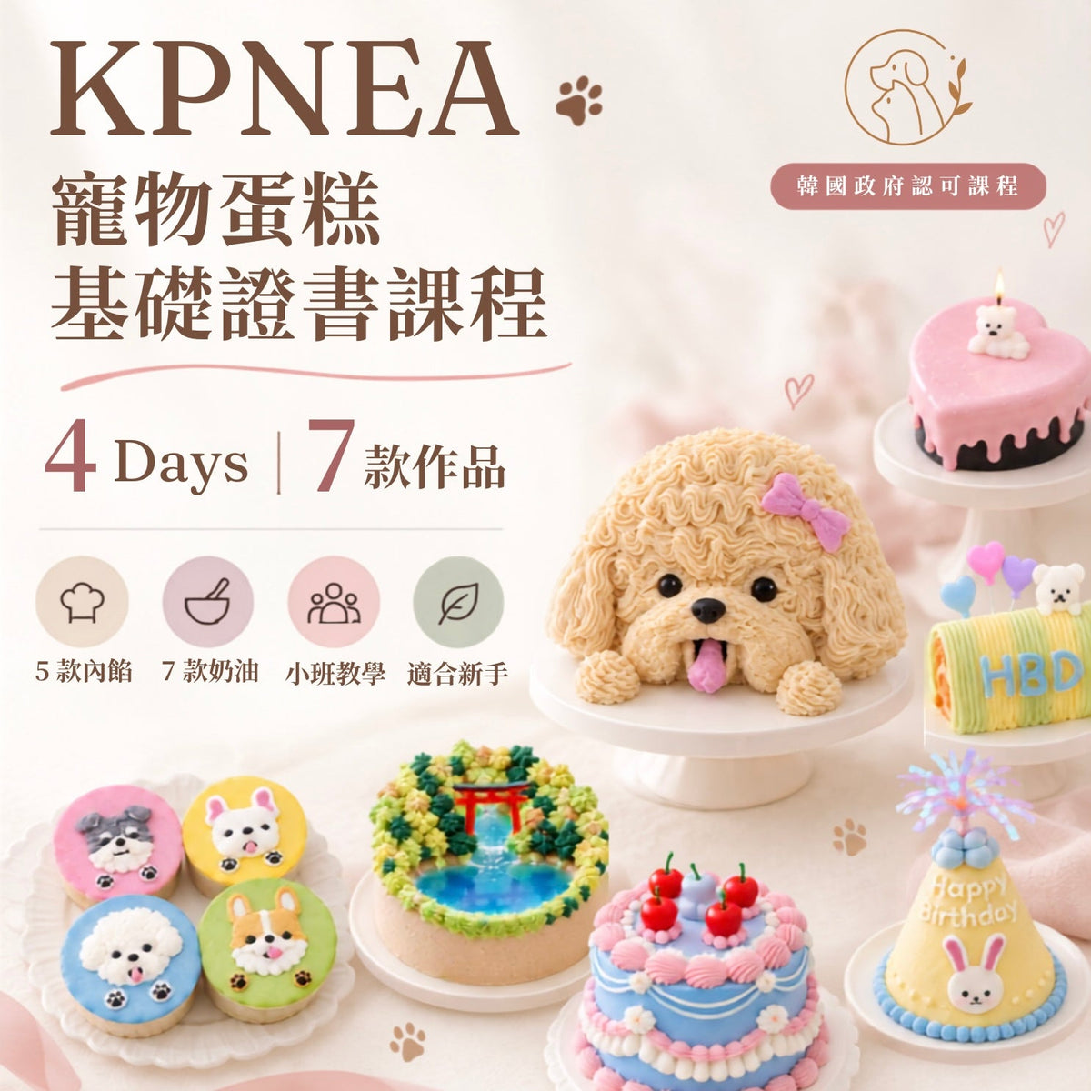 韓國寵物蛋糕基礎證書課程 Pet Cake Foundation Class