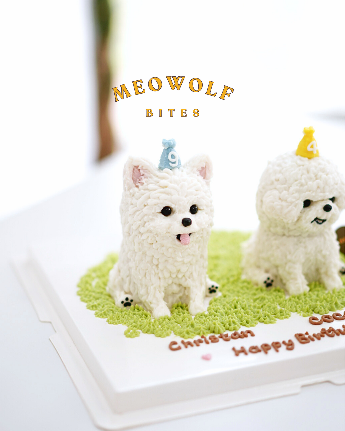 3D立體全身蛋糕 (雙毛孩) | 3D cake (two paws)